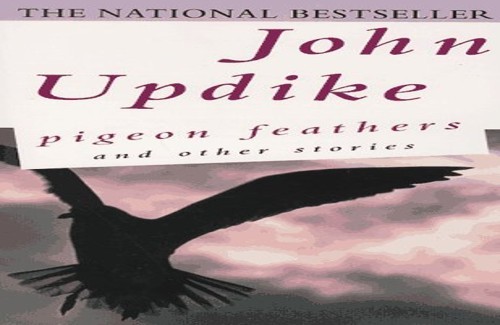 Pigeon feathers and other - pigeon,