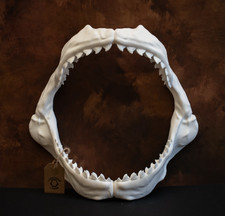 Tiger Shark Jaws Replica 4