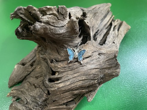 Blue abalone shell butterfly - shell,