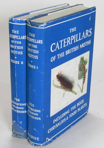 The caterpillars - caterpillars, of