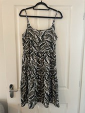 Noisy May EW Green White Palm