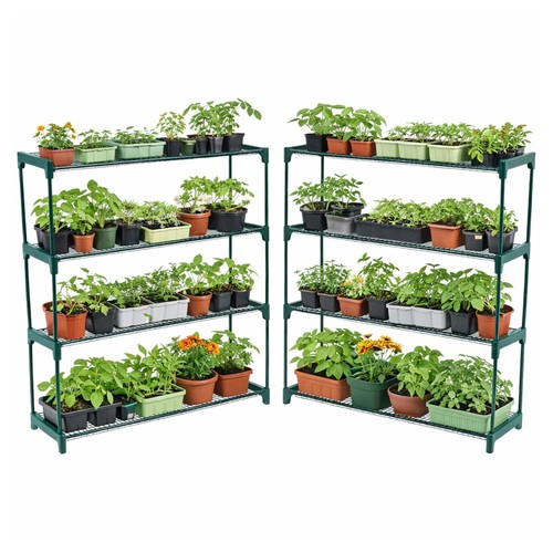 New double pack - pack, flower