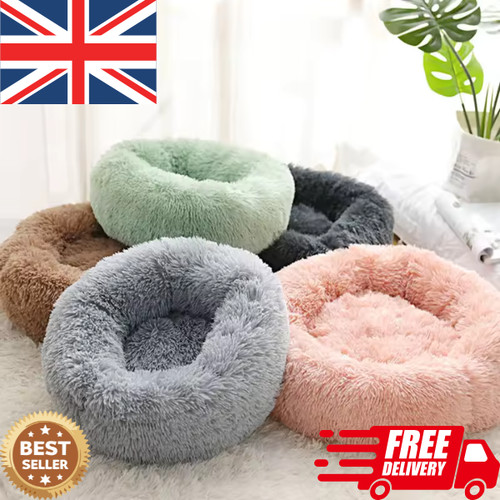 Plush pet bed - pet, dog