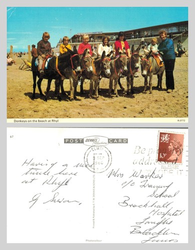 Vintage postcard donkeys - vintage, on