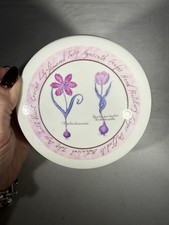  Vintage Cloverleaf Tulip