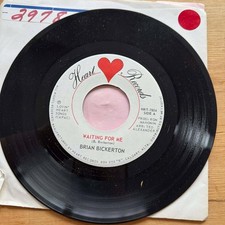 Brian Bickerton - Without your