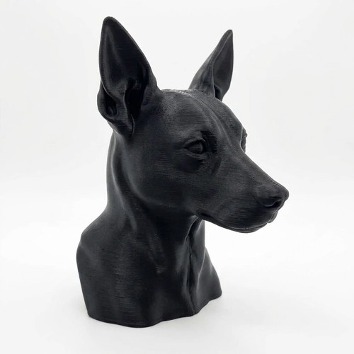 Rat terrier dog bust - bust,