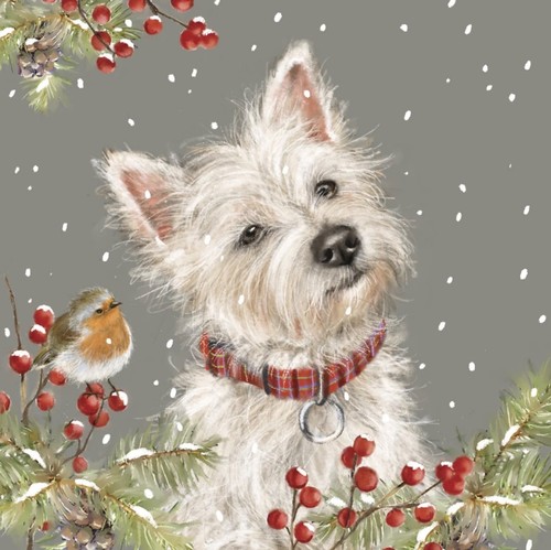 Charity christmas card bobby - christmas,