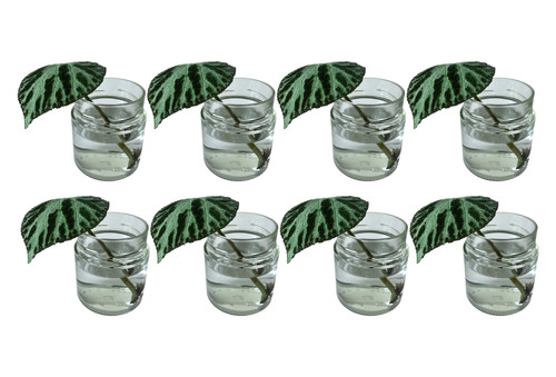 Medium glass vases - vases, clear