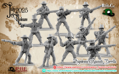 28mm napoleonic peninsular - napoleonic,