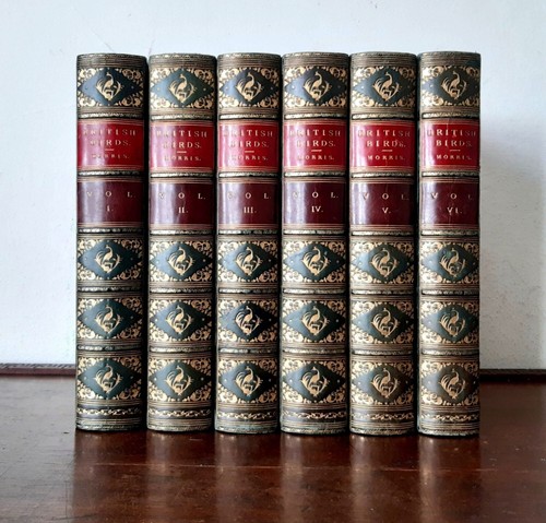 Morris a history of - /,