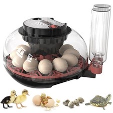 Egg incubator for - 12, hatching