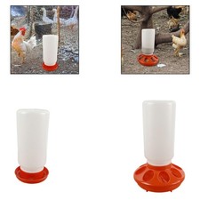 Chicken Feeder Waterer Starter