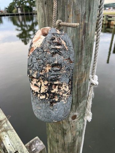 Old crab fish - pot, buoys
