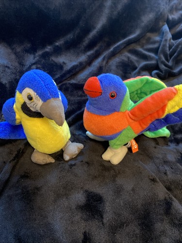 Pair plush parrots - of,