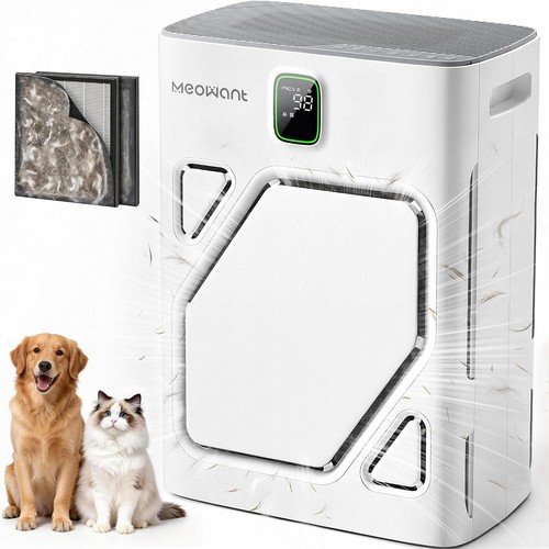 Air purifier for home large - air,