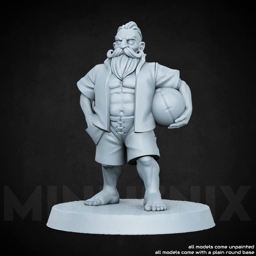 Beach volleyball dwarf - beach, ||