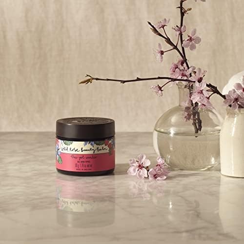 Neal yard remedies wild rose - neal's,
