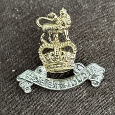 British Army Royal Army Pay Corps (RAPC) Staybrite Collar Badge 30mm X 27mm