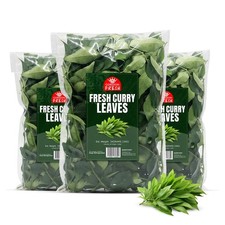 Fresh Curry Leaves from India