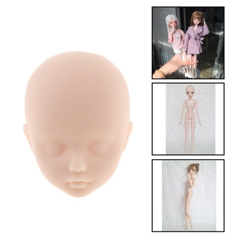 Moveable jointed 1 6 - , 1/6