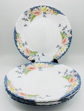 Vintage Arcopal France Florine