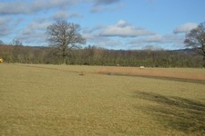 Photo 6x4 Pasture land