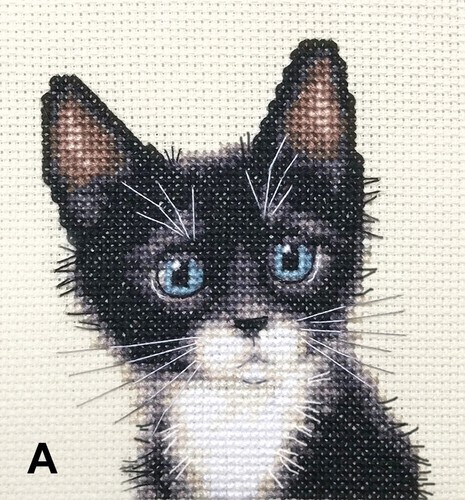 Black white tuxedo cat - black, &