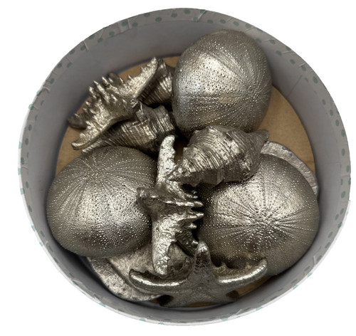 Silver tone seashell starfish - silver,