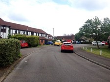 Photo 8x6 Greenfinches