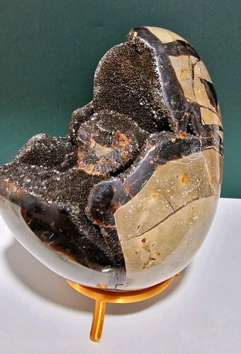 Fantastic large serpentine - fantastic,
