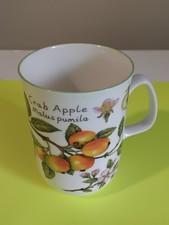 Rose Of England Fine Bone