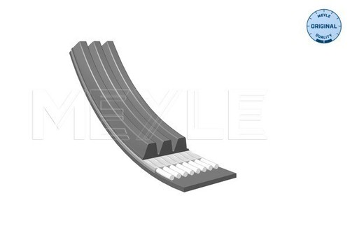 Ribbed belt meyle - belt, 003