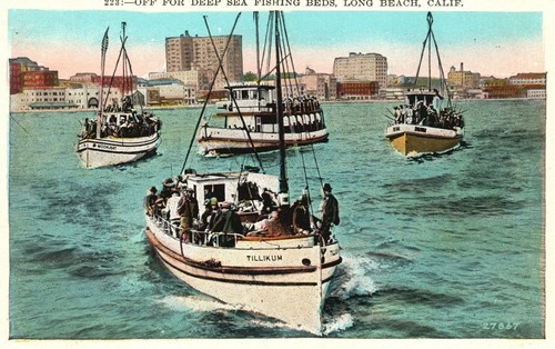 Vintage postcard deep sea - vintage,