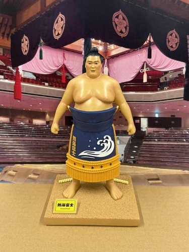 Atamifuji sumo wrestler - fs,