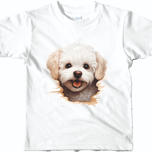 Bichon frise dog - frise,