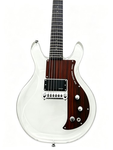 Hipping ampeg dan armstrong - ampeg,