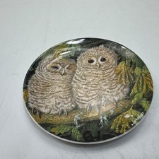 Wedgwood Bone China Collector