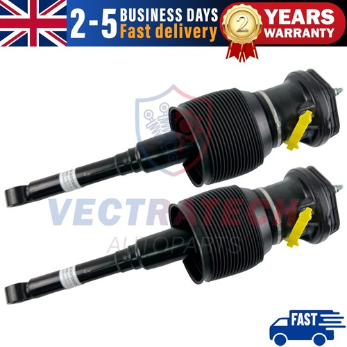 Rear air suspension struts - air,