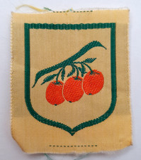 Cyprus Boy Scouts Association Ribbon Patch Badge. Scarce