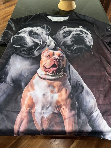 Pitbull dog puppy animal all - pitbull,