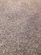 Daple Grey Carpet Brand New