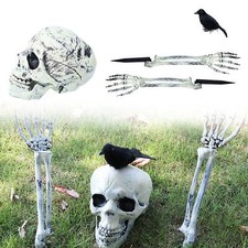 Realistic Halloween Skeleton