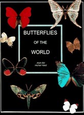 Butterflies and Moths of the