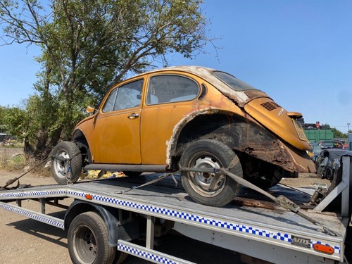 Volkswagen classic beetle - classic,