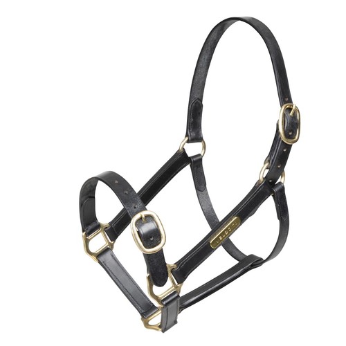Shires velociti gara fully - velociti,