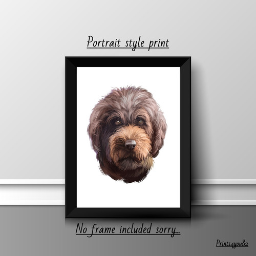 Barbet picture print poster - print,