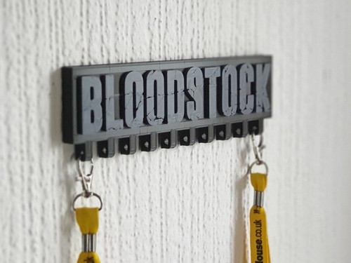 Bloodstock festival wristband - bloodstock,