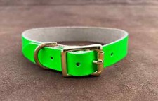 Dog collar green day glow - collar,