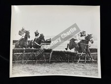 ORIGINAL 1969 BAVARD HORSE